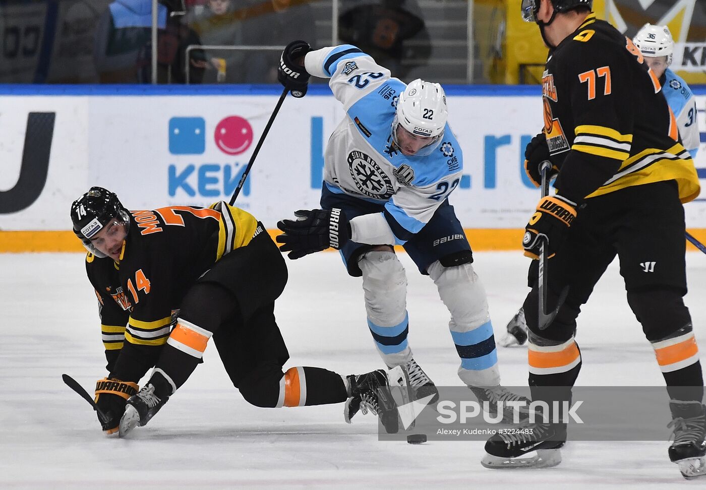 Ice hockey. KHL. Severstal vs. Sibir