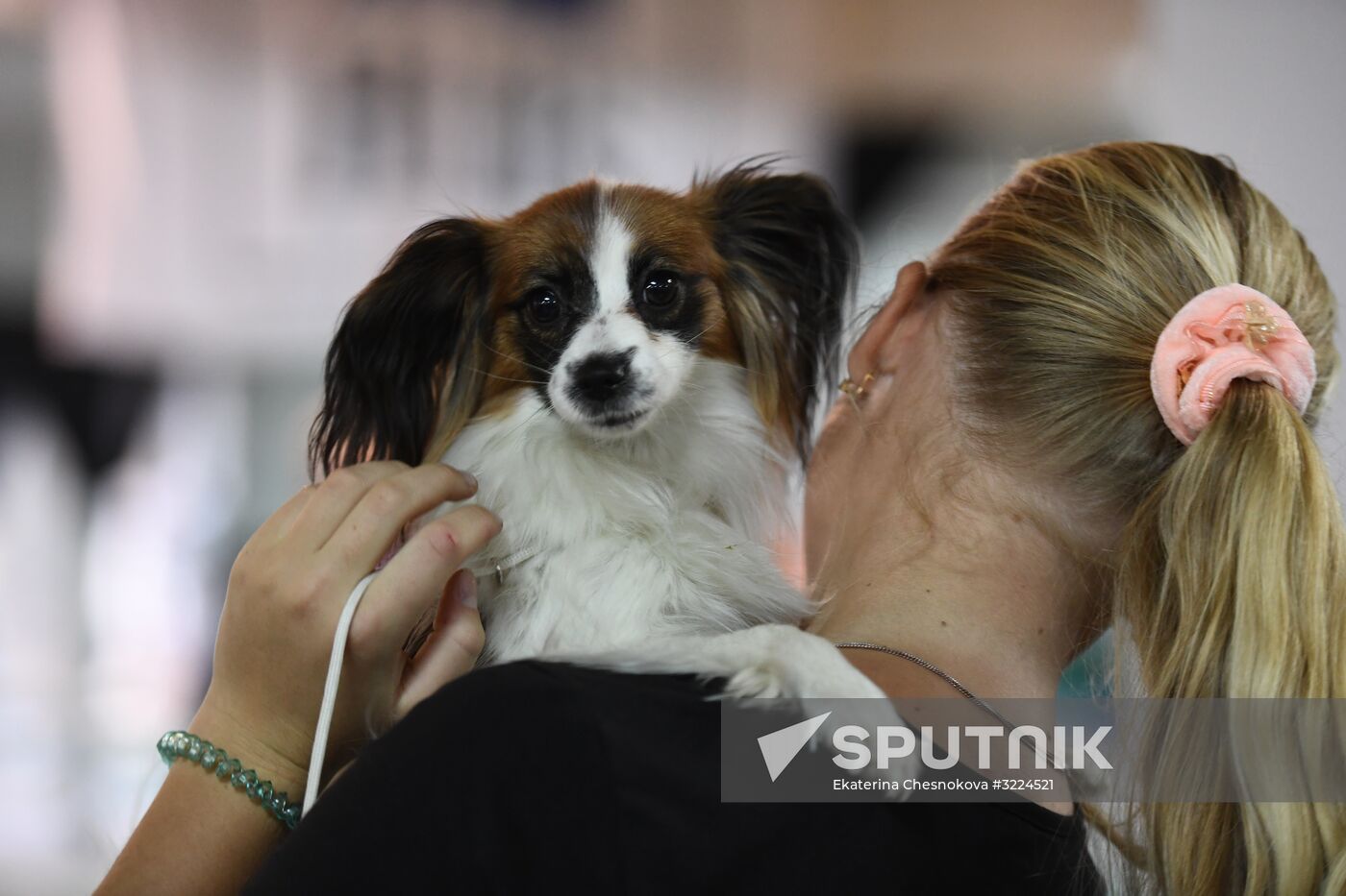 Dog show in Moscow