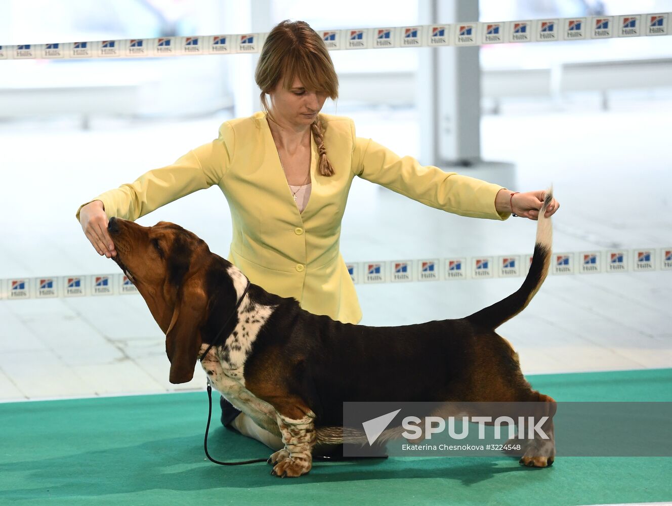 Dog show in Moscow