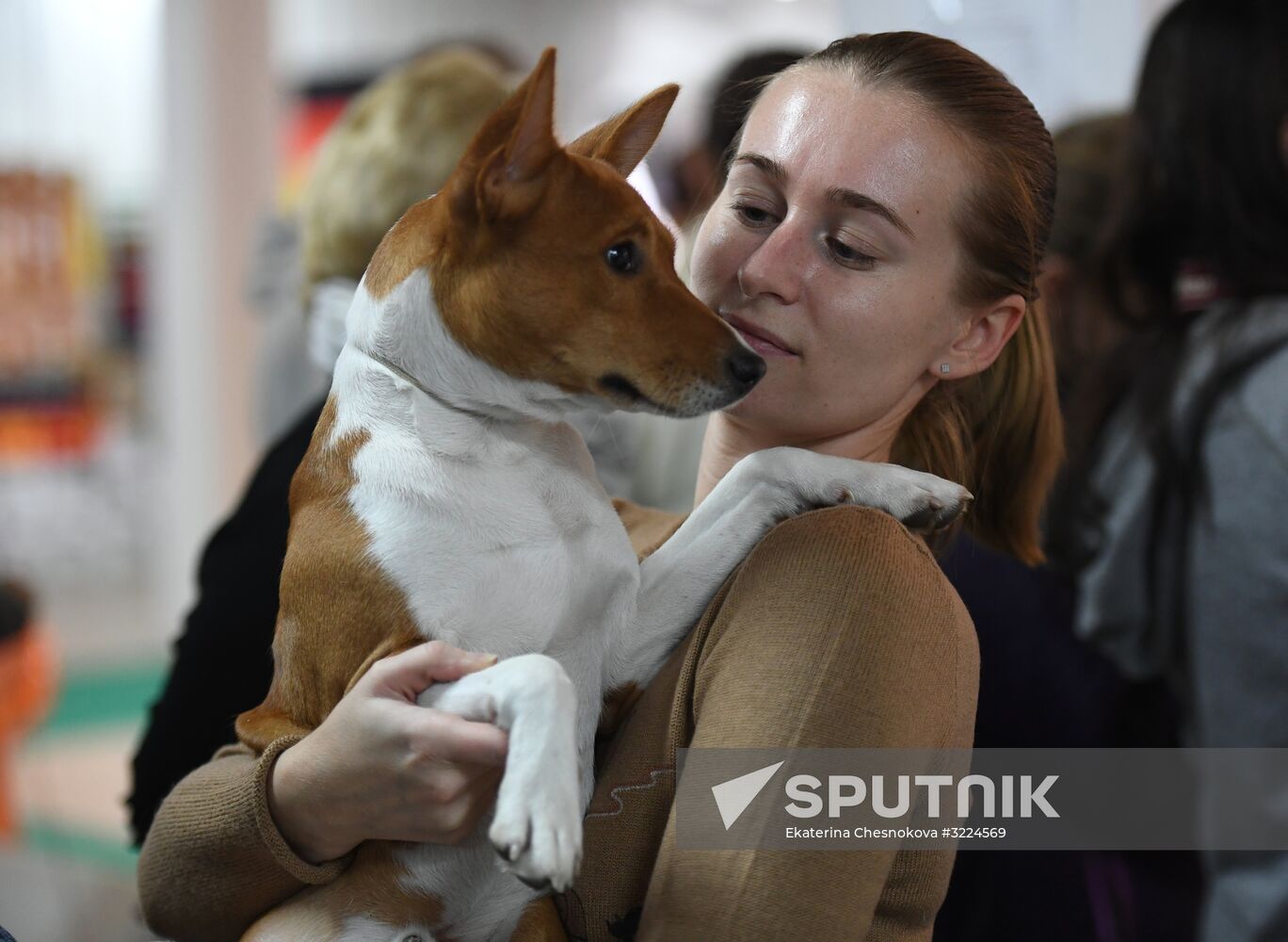 Dog show in Moscow