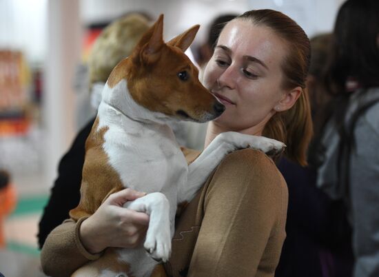 Dog show in Moscow