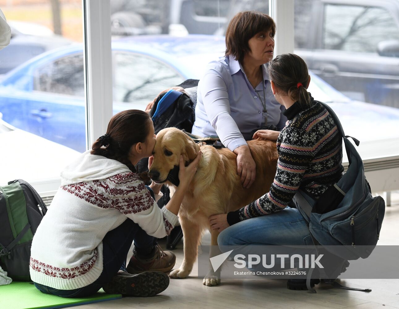 Dog show in Moscow