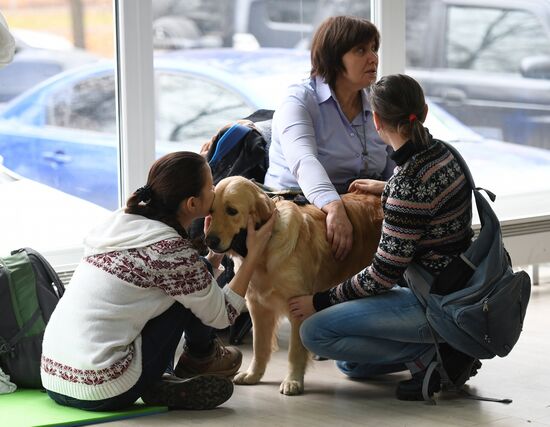 Dog show in Moscow