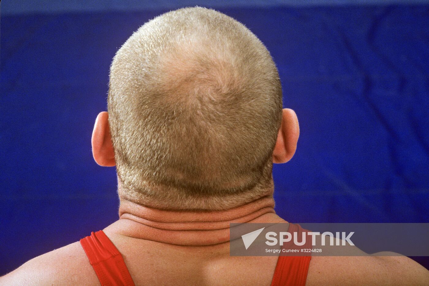 Wrestler