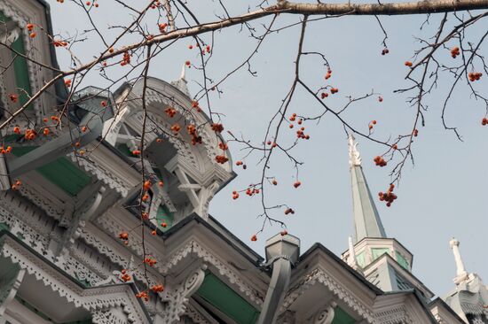 Regions of Russia. Tomsk Region