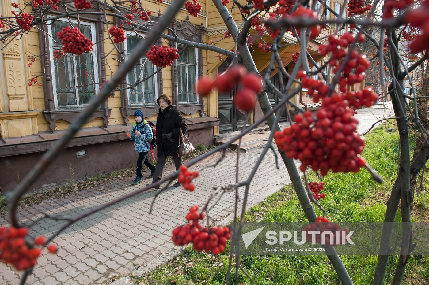 Regions of Russia. Tomsk Region