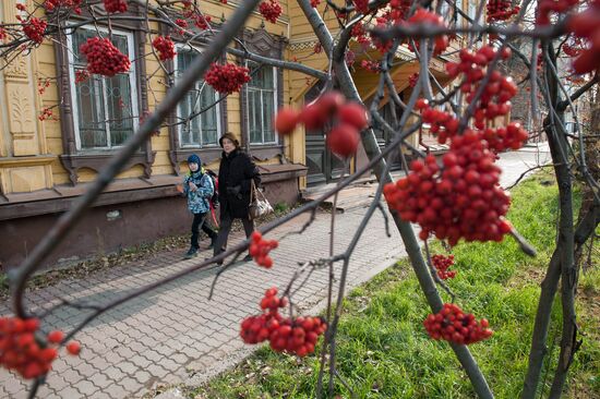 Regions of Russia. Tomsk Region