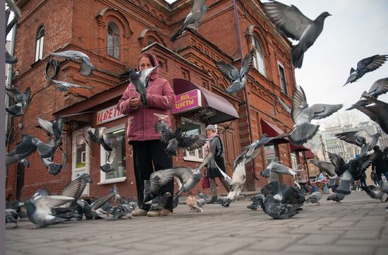 Regions of Russia. Tomsk Region