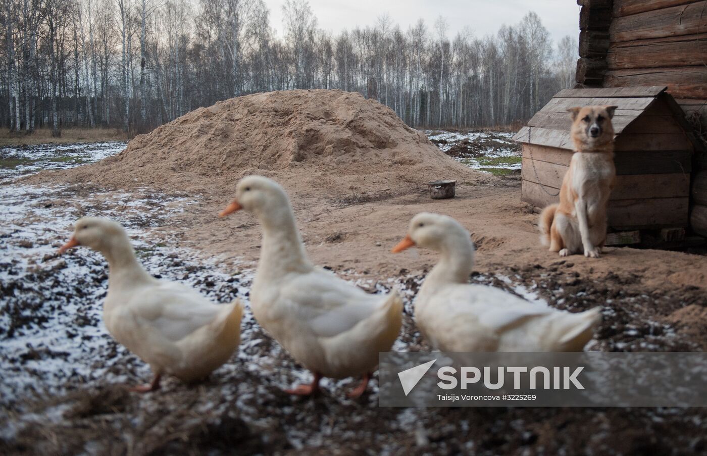 Regions of Russia. Tomsk Region