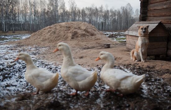 Regions of Russia. Tomsk Region