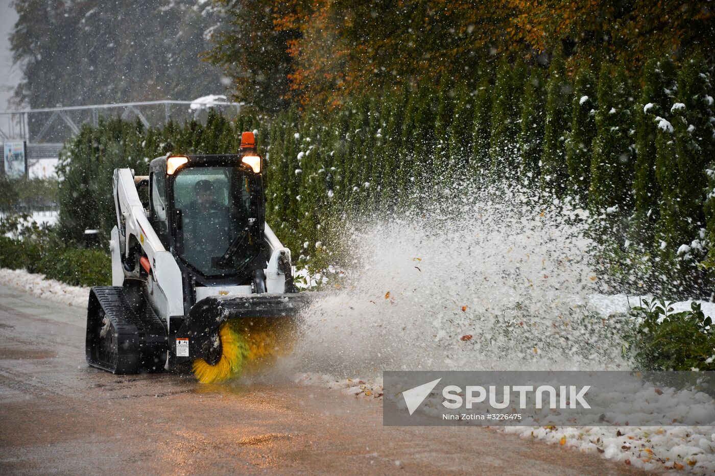 Snow in Krasnaya Polyana