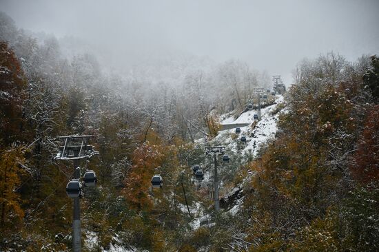 Snow in Krasnaya Polyana