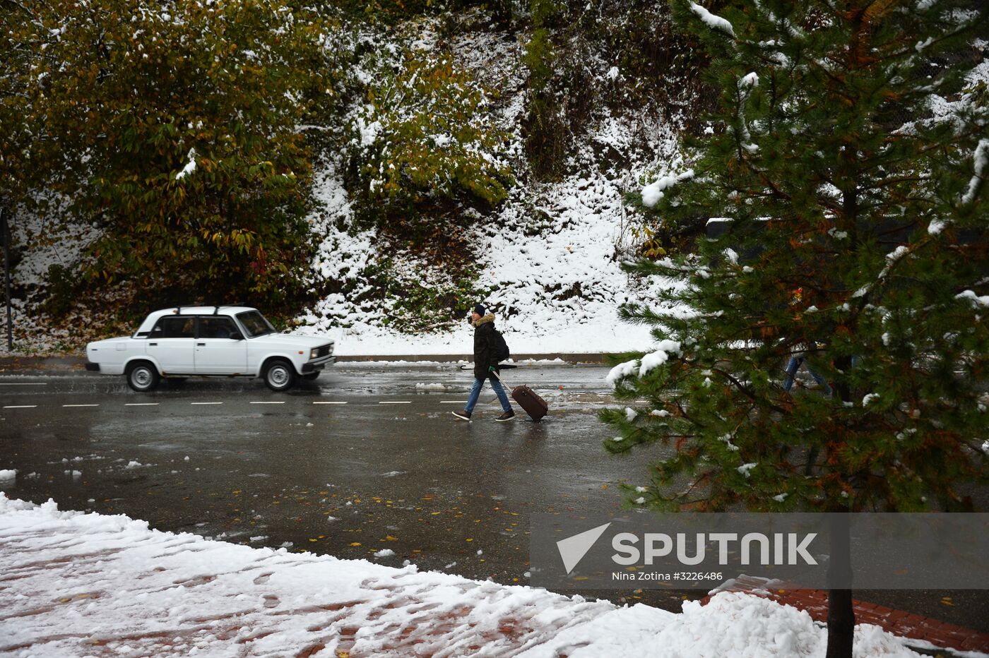 Snow in Krasnaya Polyana