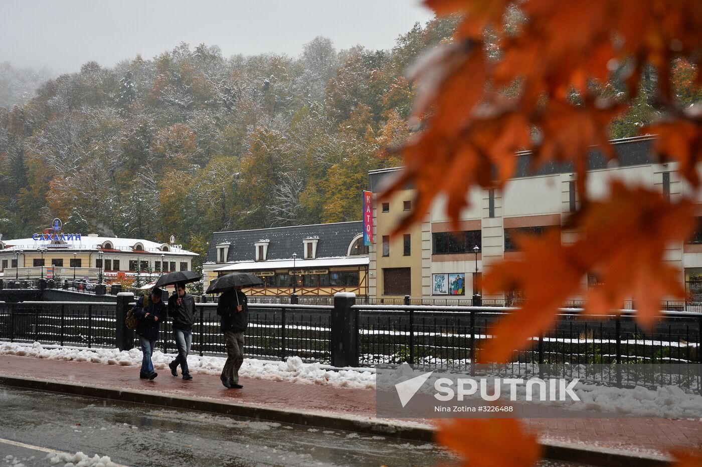 Snow in Krasnaya Polyana