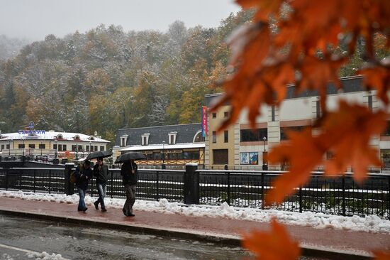 Snow in Krasnaya Polyana