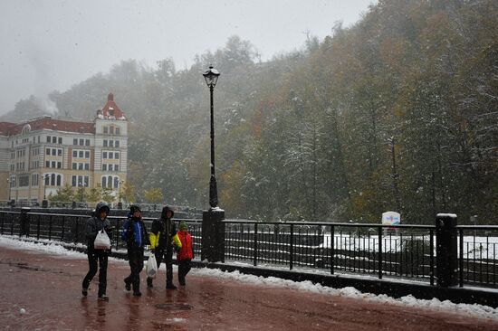 Snow in Krasnaya Polyana