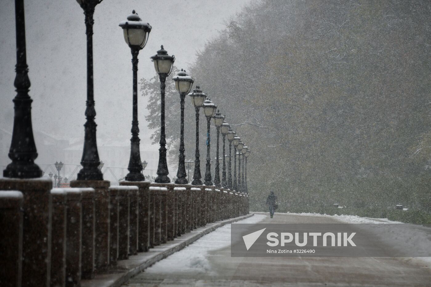 Snow in Krasnaya Polyana