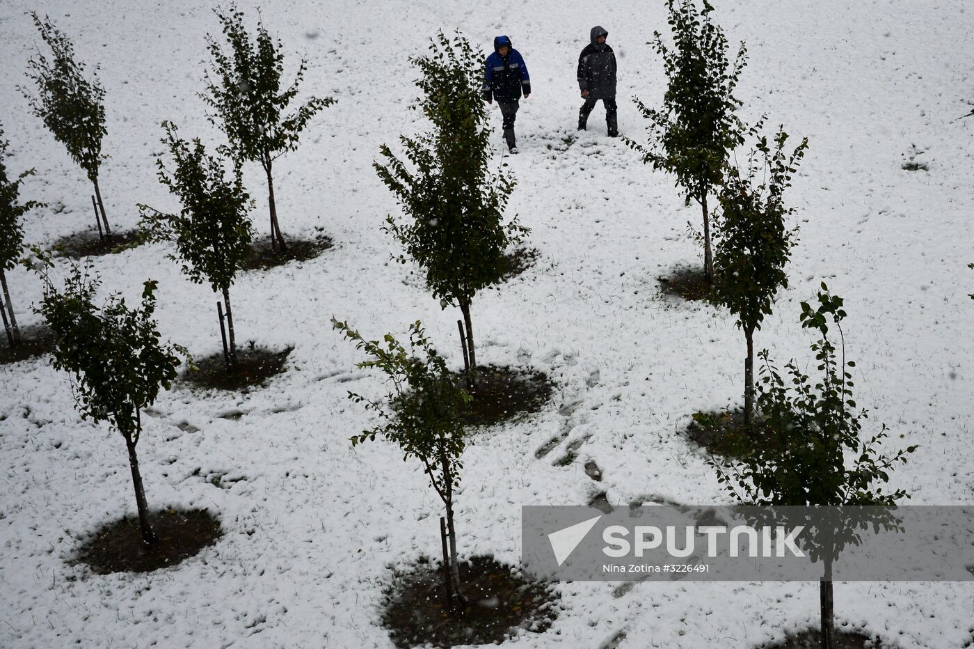 Snow in Krasnaya Polyana