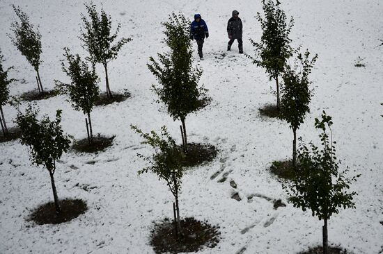 Snow in Krasnaya Polyana