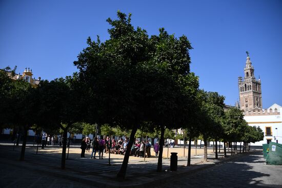 Cities of the world. Seville