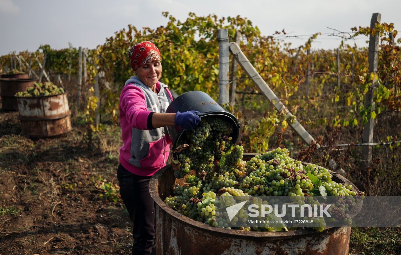 Russian regions. Crimea