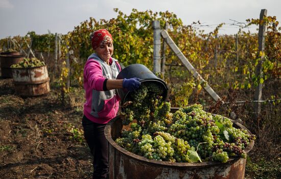 Russian regions. Crimea