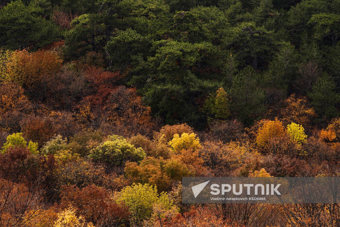 Russian regions. Crimea