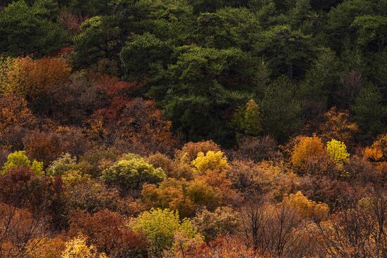 Russian regions. Crimea