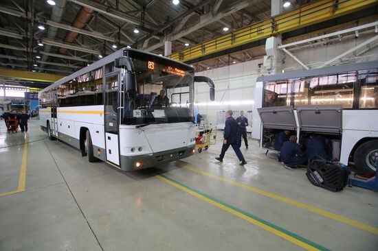 Bus manufacturing at Likino Bus Plant