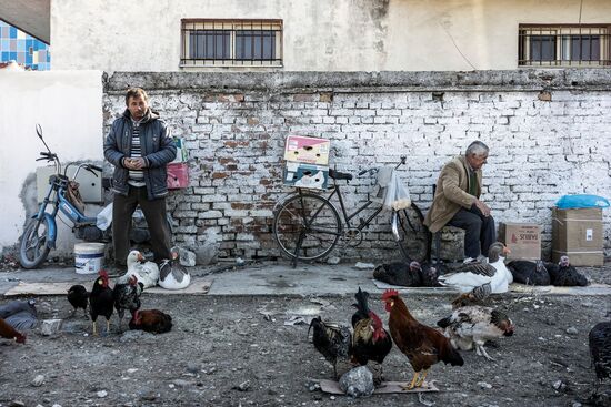 Everyday life in Albania