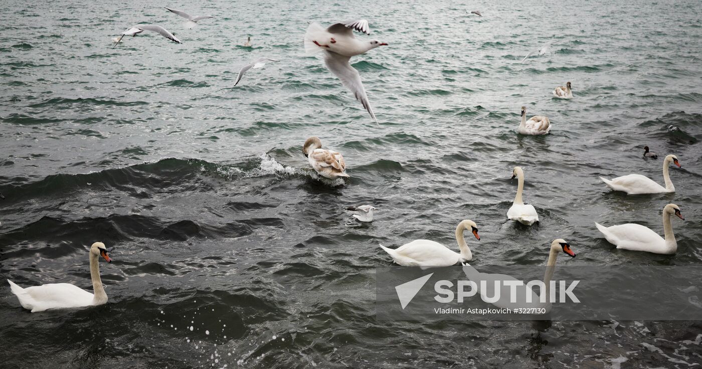 Russian regions. Crimea