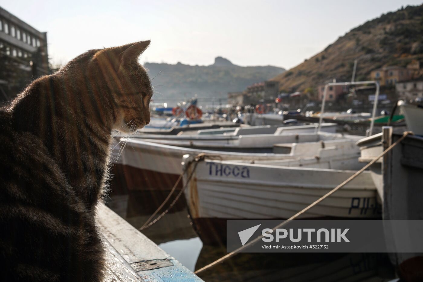 Russian regions. Crimea