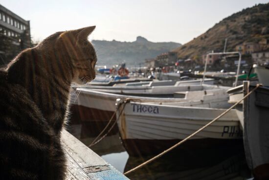 Russian regions. Crimea