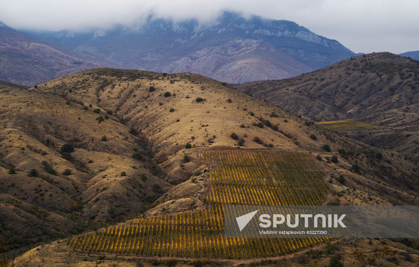 Russian regions. Crimea