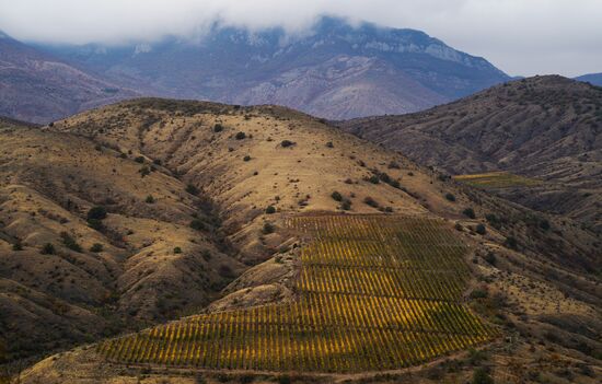 Russian regions. Crimea