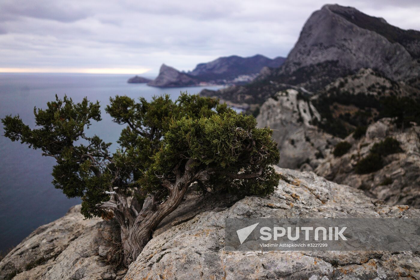 Russian regions. Crimea