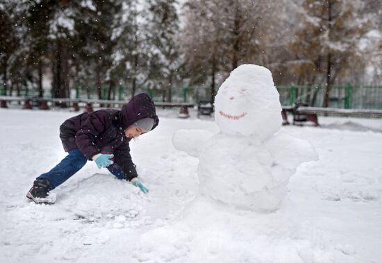 Snowfall in Omsk