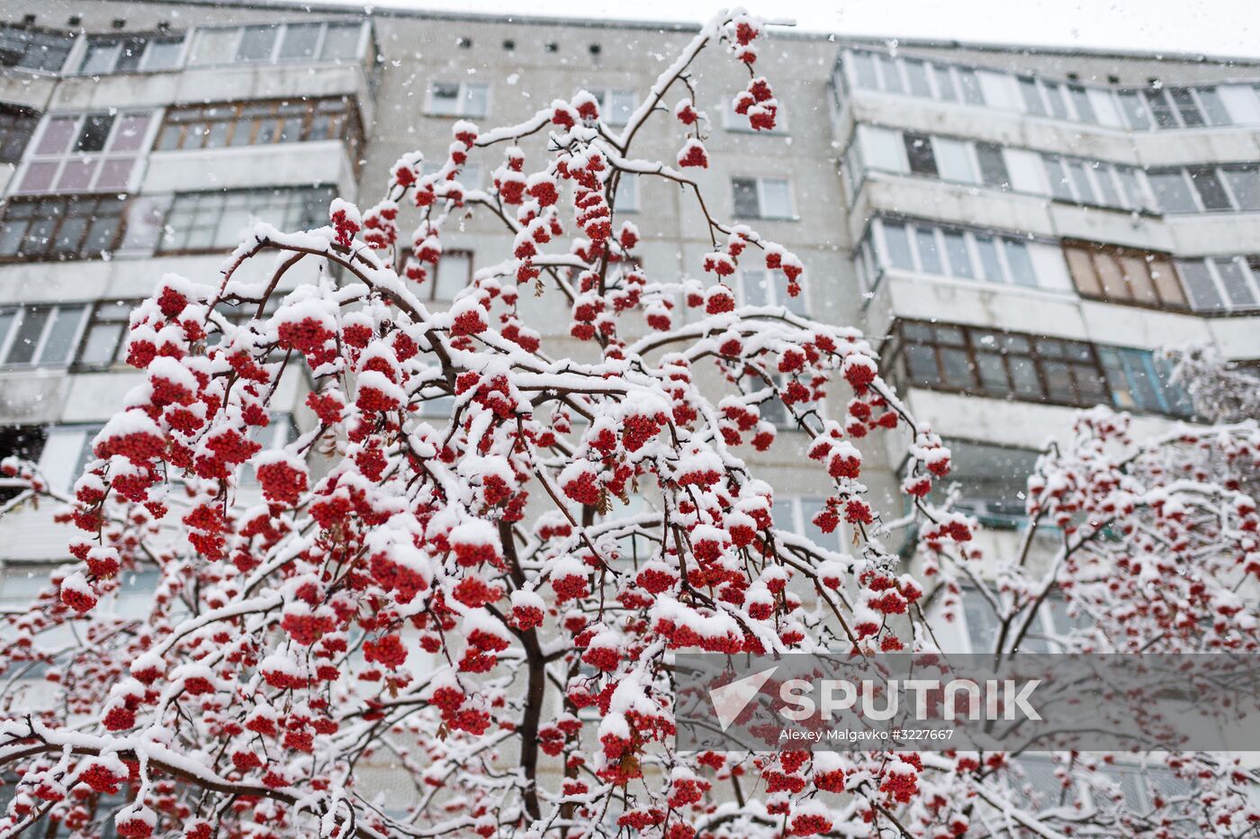 Snowfall in Omsk