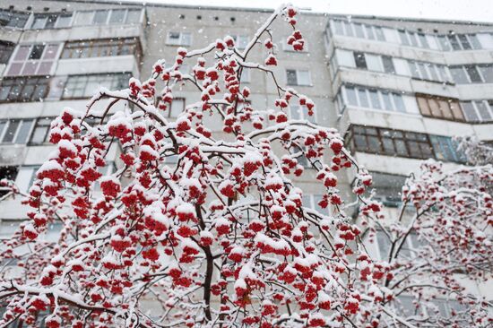 Snowfall in Omsk