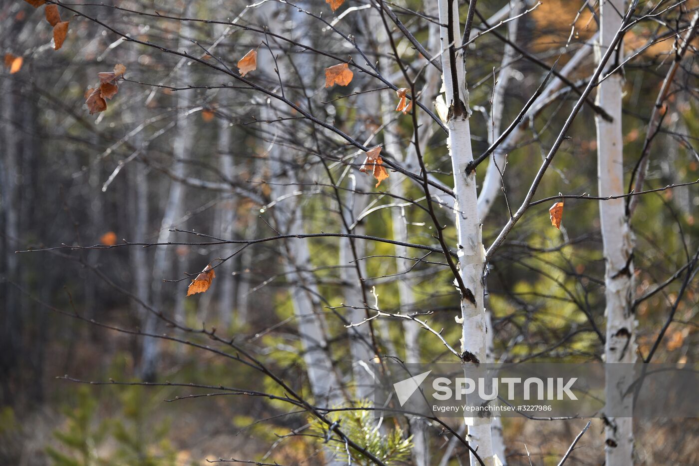 Settlement of Aginskoye in Transbaikal Territory