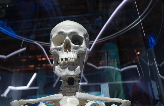 Russia Focused on the Future exhibition