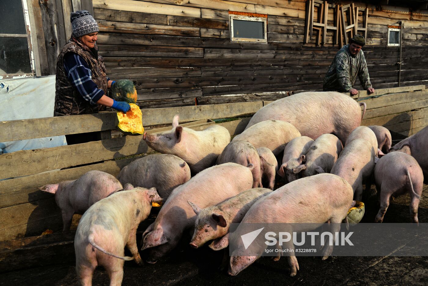 Ivan Panin of Khabarovsk Territory, participant in Far Eastern Hectare program