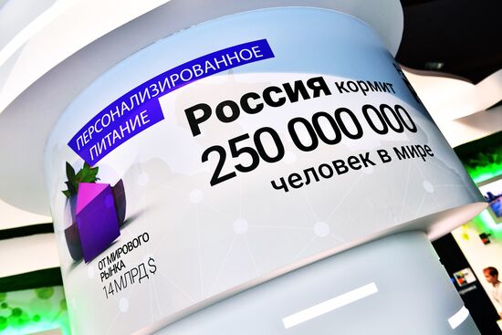 Exhibition Russia Looking Into the Future