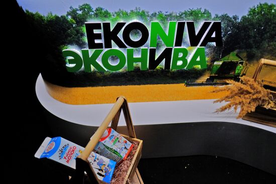 Exhibition Russia Looking Into the Future