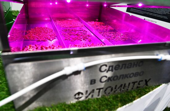 Russia Focused on the Future exhibition