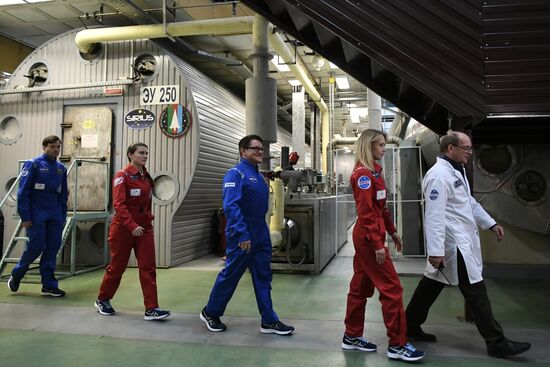 SIRIUS-17 analog mission