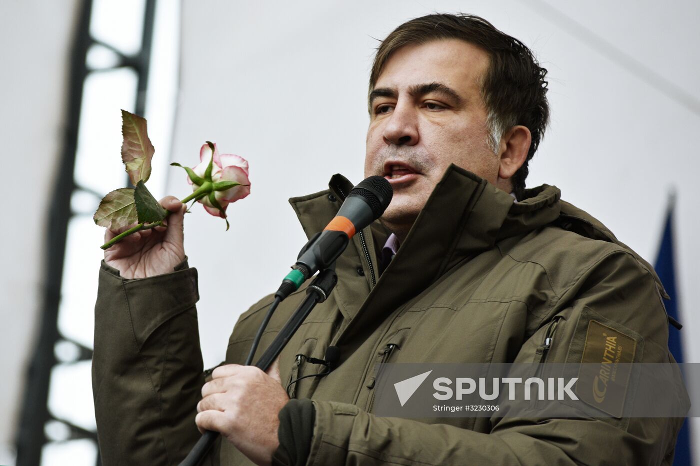 Mikheil Saakashvili's party holds rally in Kiev