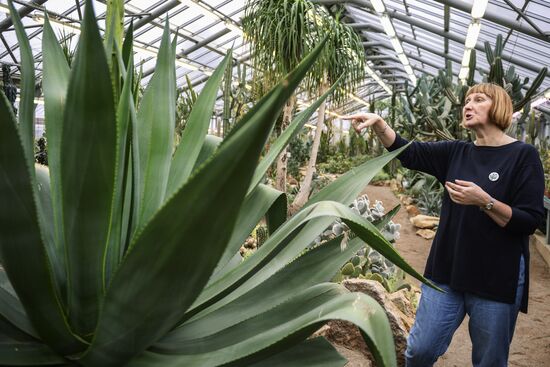 Agave bloossoms in Botanical Garden