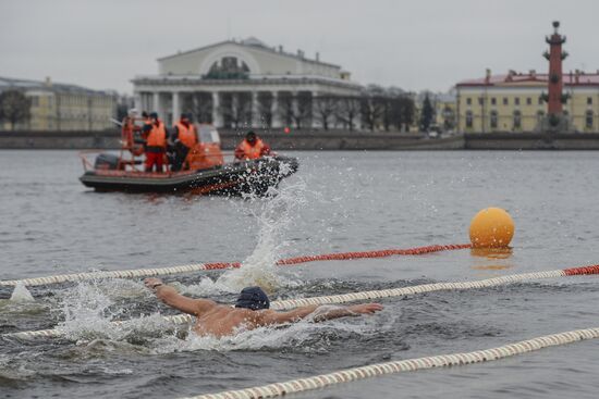 Ledostav winter swimming festival in St. Petersburg