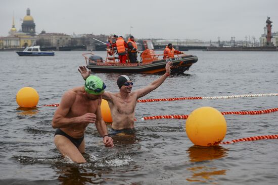 Ledostav winter swimming festival in St. Petersburg